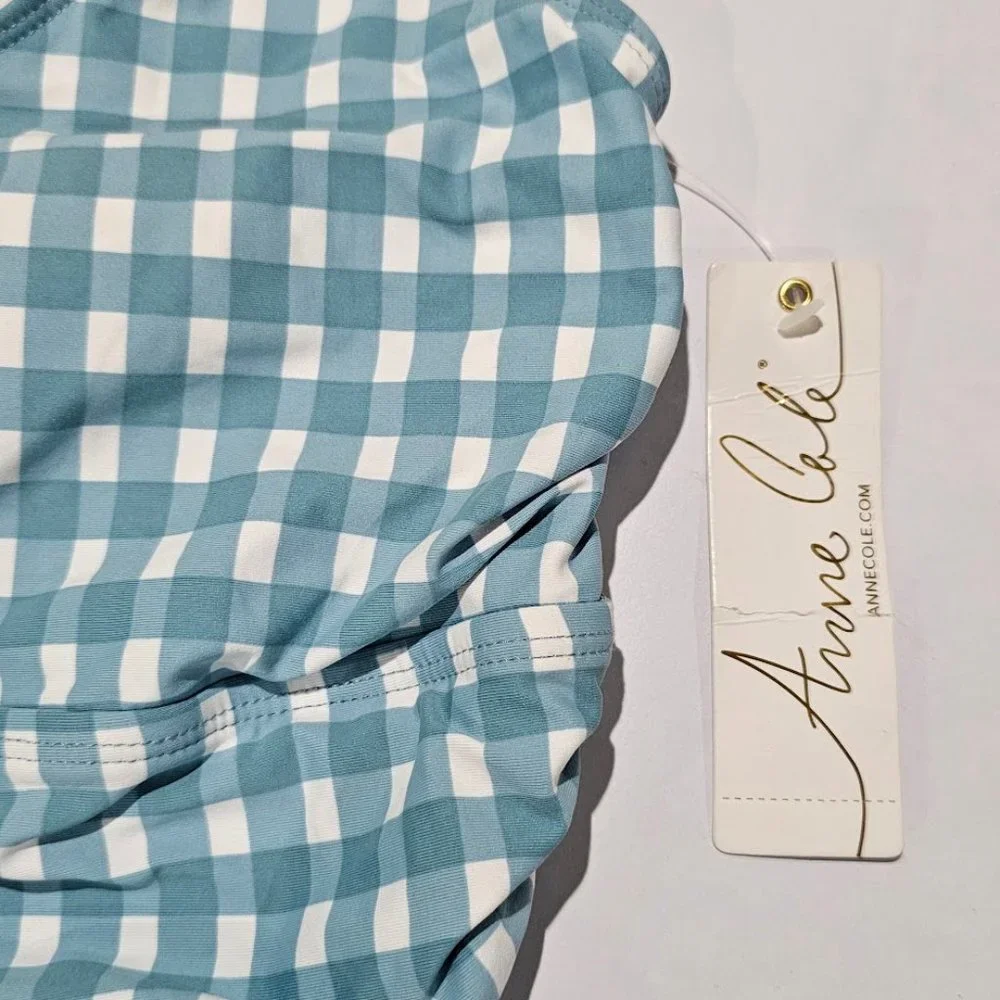 Anne Cole Plus Size Checked Shirred One-Piece Swimsuit